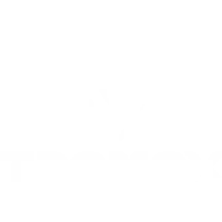 Tromox - 摩兽出行科技